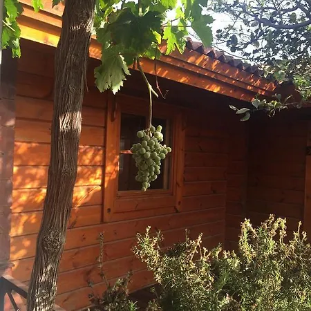 Villa Dunas Golf & Beach